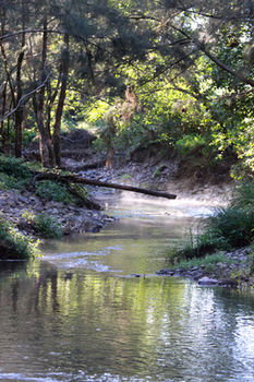 Yabbaloumba Retreat - Accommodation Redcliffe 5