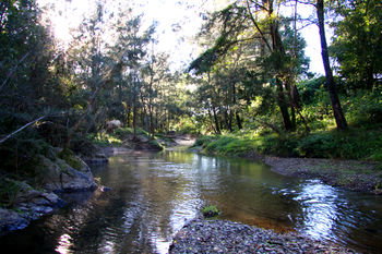 Yabbaloumba Retreat - Accommodation Redcliffe 25