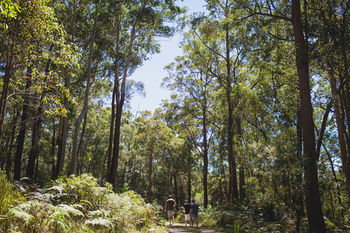 Bawley Bush Retreat And Cottages - Accommodation Redcliffe 9