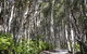 Bawley Bush Retreat And Cottages - thumb 37