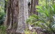Bawley Bush Retreat And Cottages - thumb 38
