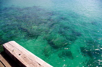 Bawley Bush Retreat And Cottages - Accommodation Redcliffe 39
