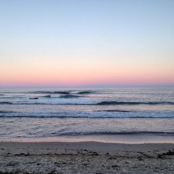 Bawley Bush Retreat And Cottages - Accommodation Redcliffe 40