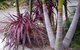 Bawley Bush Retreat And Cottages - thumb 42