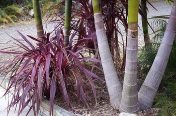 Bawley Bush Retreat And Cottages - Accommodation Redcliffe 42
