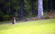 Bawley Bush Retreat And Cottages - thumb 43