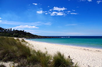Bawley Bush Retreat And Cottages - Accommodation Redcliffe 58