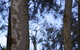 Bawley Bush Retreat And Cottages - thumb 69