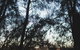 Bawley Bush Retreat And Cottages - thumb 76