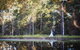Bawley Bush Retreat And Cottages - thumb 84