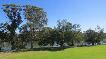 Macquarie Inn - Accommodation Redcliffe 17