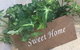 Ivy Units Glen Waverley - thumb 11