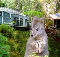 Huon Bush Retreats - Accommodation Redcliffe