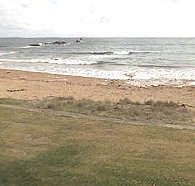 Penguin Caravan Park - Accommodation Redcliffe