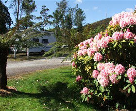 Zeehan Bush Camp  And Caravan Park - Accommodation Redcliffe 0