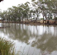 Riverbank Caravan Park - Accommodation Redcliffe