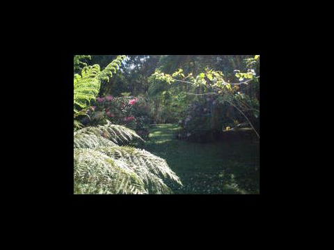 A Country House At Winstanley - Accommodation Redcliffe 4
