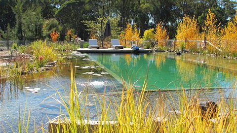 Planetrees Estate  - Accommodation Redcliffe 5