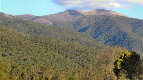 Mountain View Retreat - Accommodation Redcliffe 4