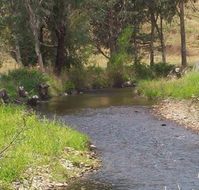 Murphy's Cabin - Accommodation Redcliffe