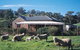 Amanda Stichbury Cottage - thumb 0