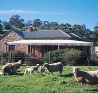 Amanda Stichbury Cottage - Accommodation Redcliffe