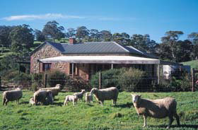 Amanda Stichbury Cottage - Accommodation Redcliffe 0