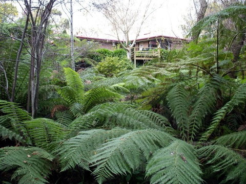 Adelaide Hills Bed & Breakfast Accommodation - Accommodation Redcliffe 3