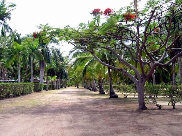 Alva QLD Accommodation Redcliffe