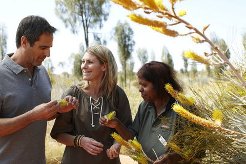 Ayers Rock Campground - Accommodation Redcliffe 2