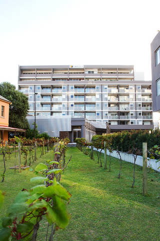 B7 Honeysuckle Apartments - Accommodation Redcliffe 1