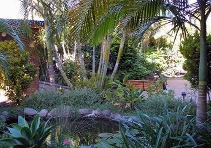 Comfort Inn Bert Hinkler - Accommodation Redcliffe 3