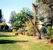 Condamine River Caravan Park - Accommodation Redcliffe