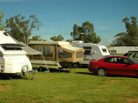 Crocodile Caravan  & Camping Park - Accommodation Redcliffe 0