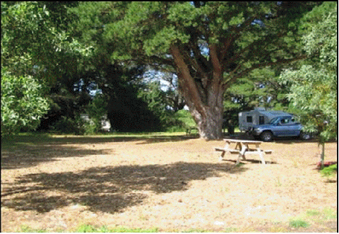 Millicent Hillview Caravan Park - Accommodation Redcliffe 4