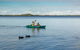 Myall Shores Holiday Park - thumb 1