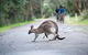 Myall Shores Holiday Park - thumb 11