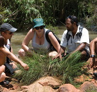 Nitmiluk Tours  Accommodation - Accommodation Redcliffe