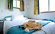 North Coast Holiday Parks Coffs Harbour - thumb 4