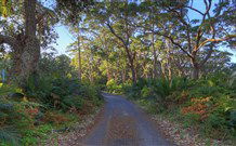 BIG4 South Durras Holiday Park - Accommodation Redcliffe 4