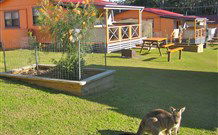 Durras Lake North Holiday Park - Accommodation Redcliffe 1