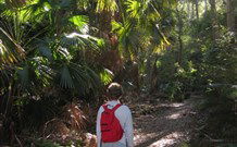 Durras Lake North Holiday Park - Accommodation Redcliffe 7