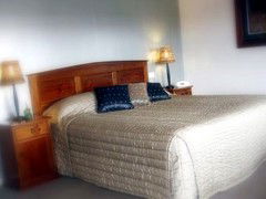 Saltbush Motor Inn - Accommodation Redcliffe 4