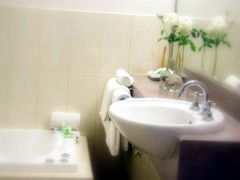 Saltbush Motor Inn - Accommodation Redcliffe 5