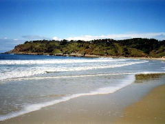 Walkabout Holiday House - Accommodation Redcliffe 4