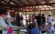 Mt Trio Bush Camp And Caravan Park - thumb 1