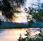 Tweed Coast Holiday Parks Hastings Point - Accommodation Redcliffe