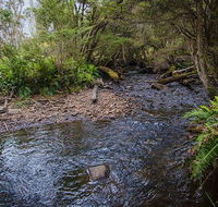 Horse Swamp campground - Accommodation Redcliffe