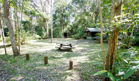 Iron Pot Creek Campground - Accommodation Redcliffe 0