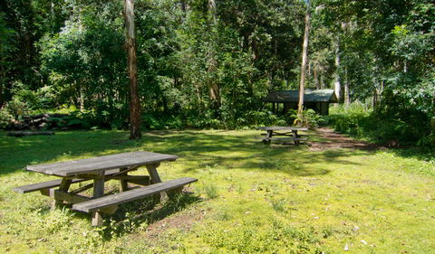Iron Pot Creek Campground - Accommodation Redcliffe 1